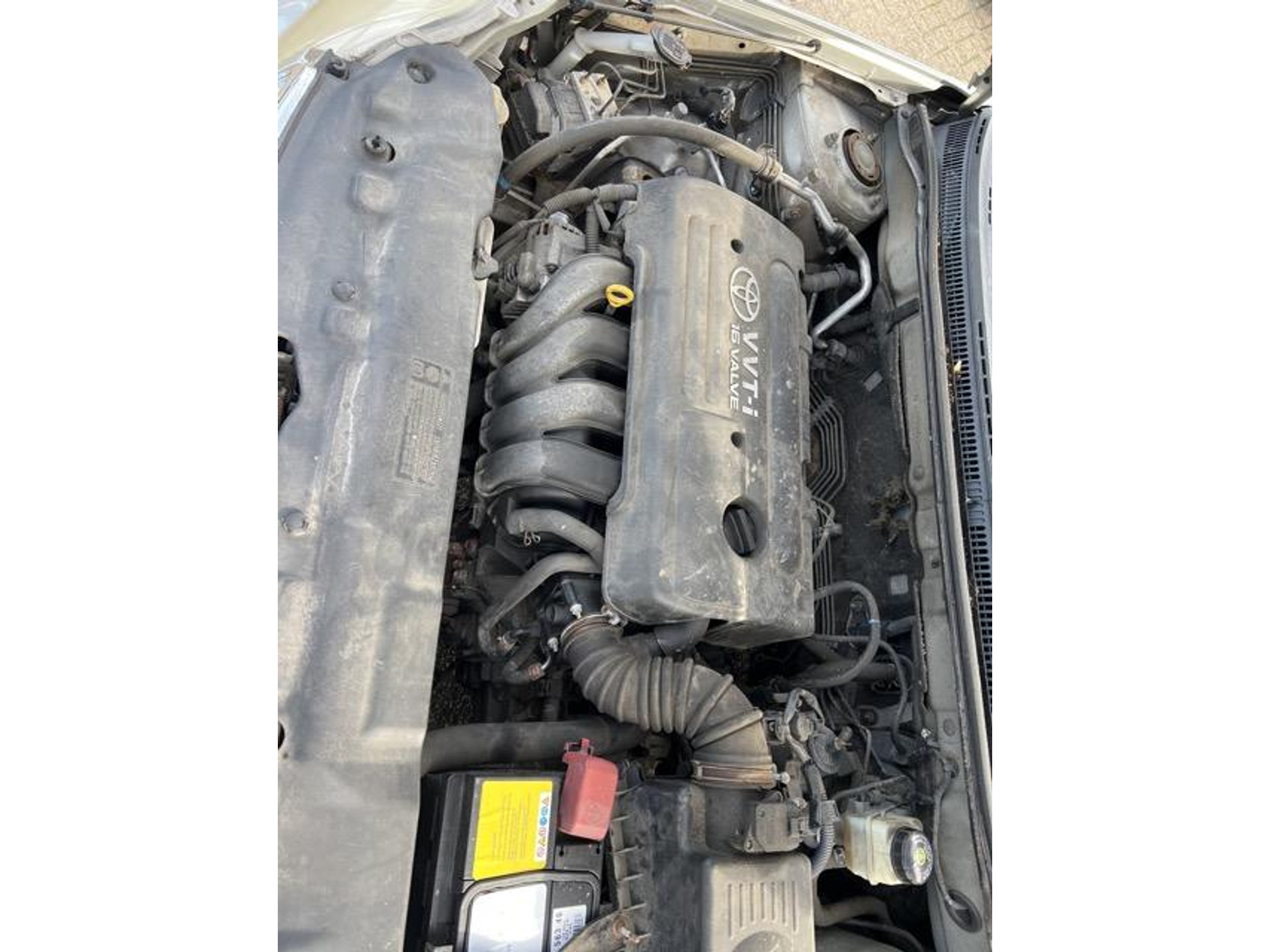 40952944-14.jpg