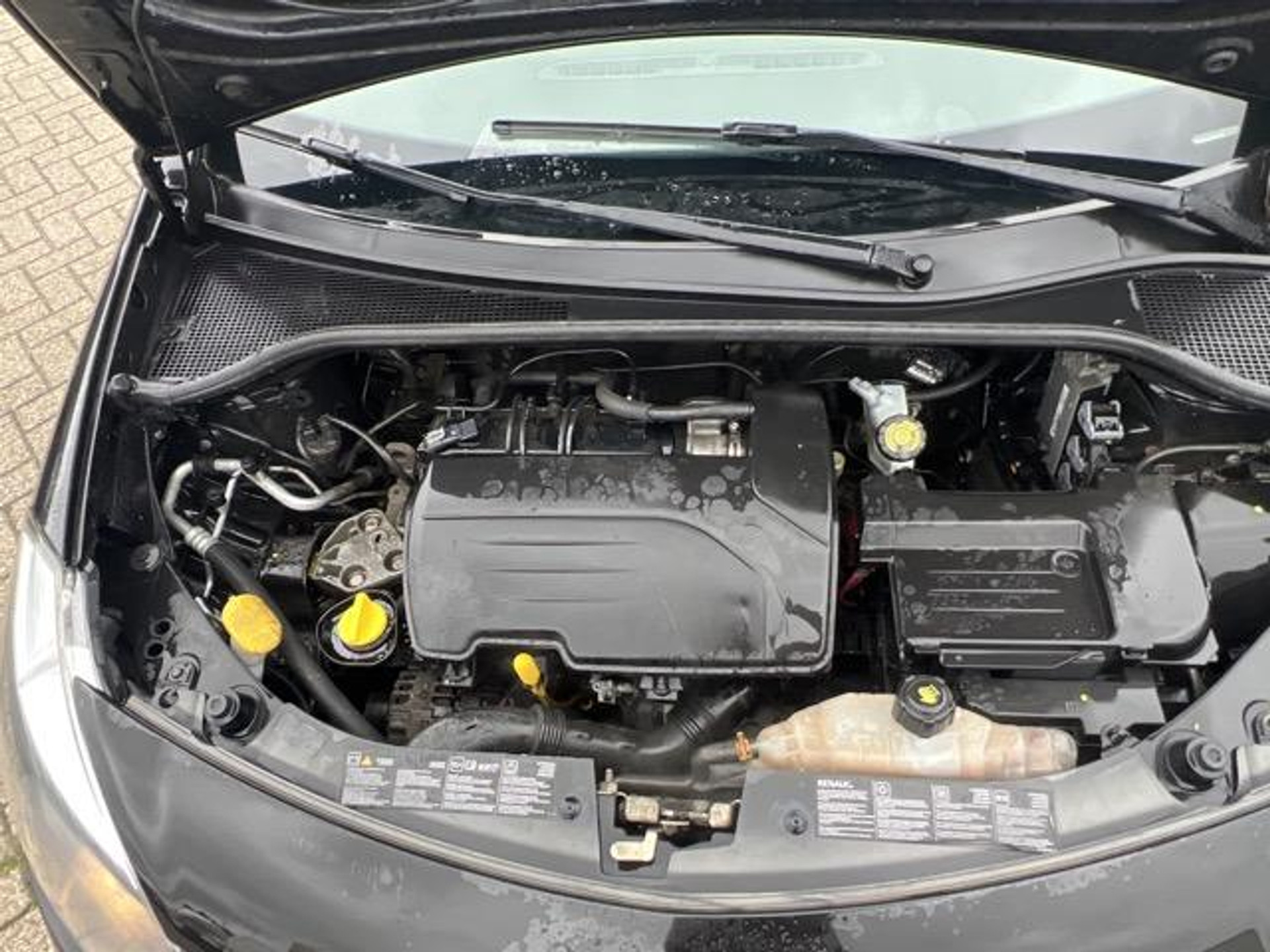 48406491-13.jpg