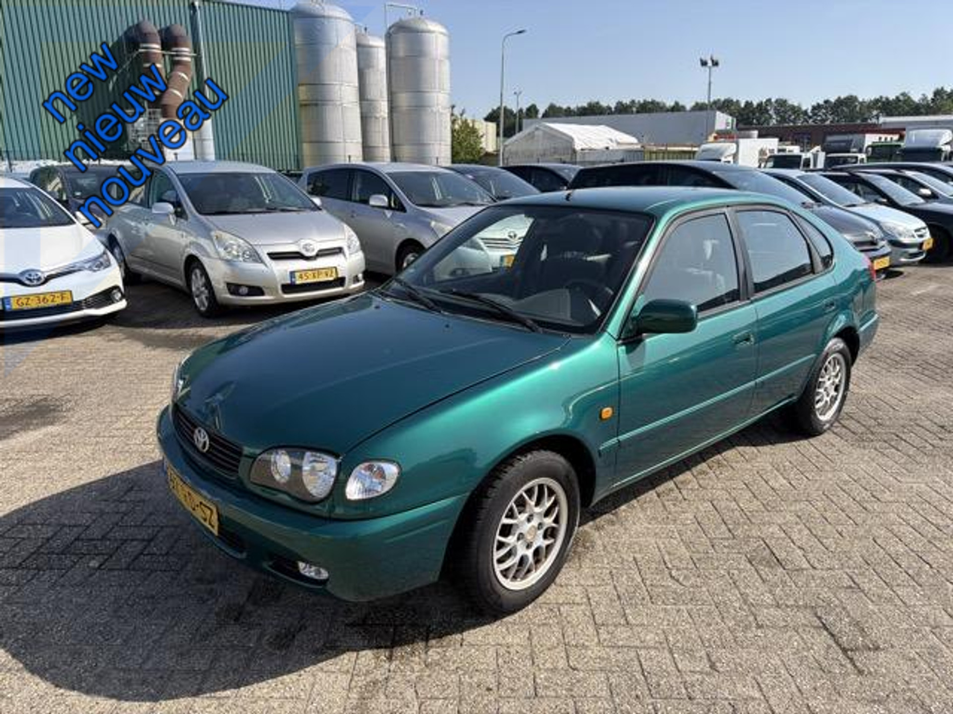 52343441-19.jpg