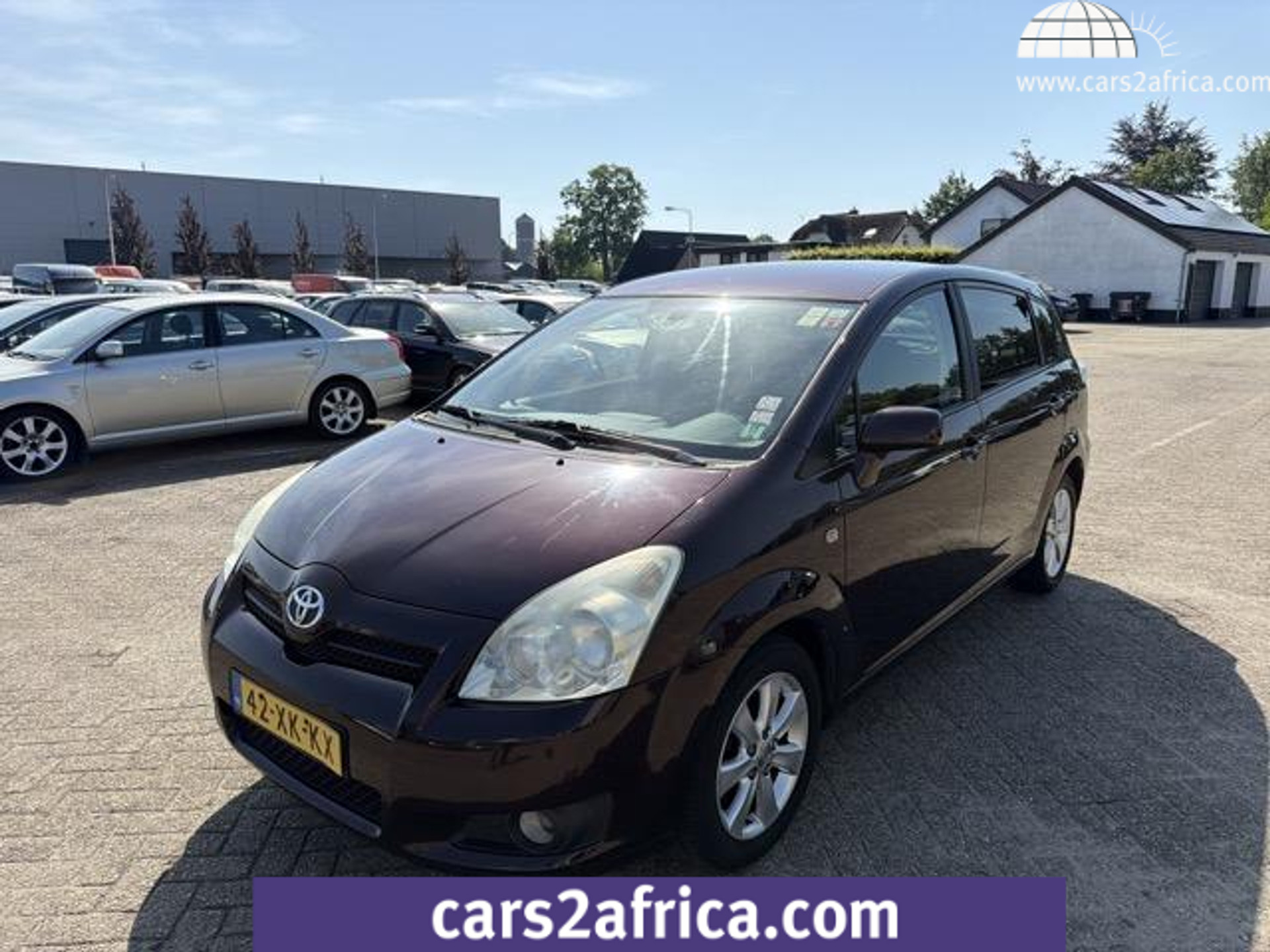 54882962-20.jpg
