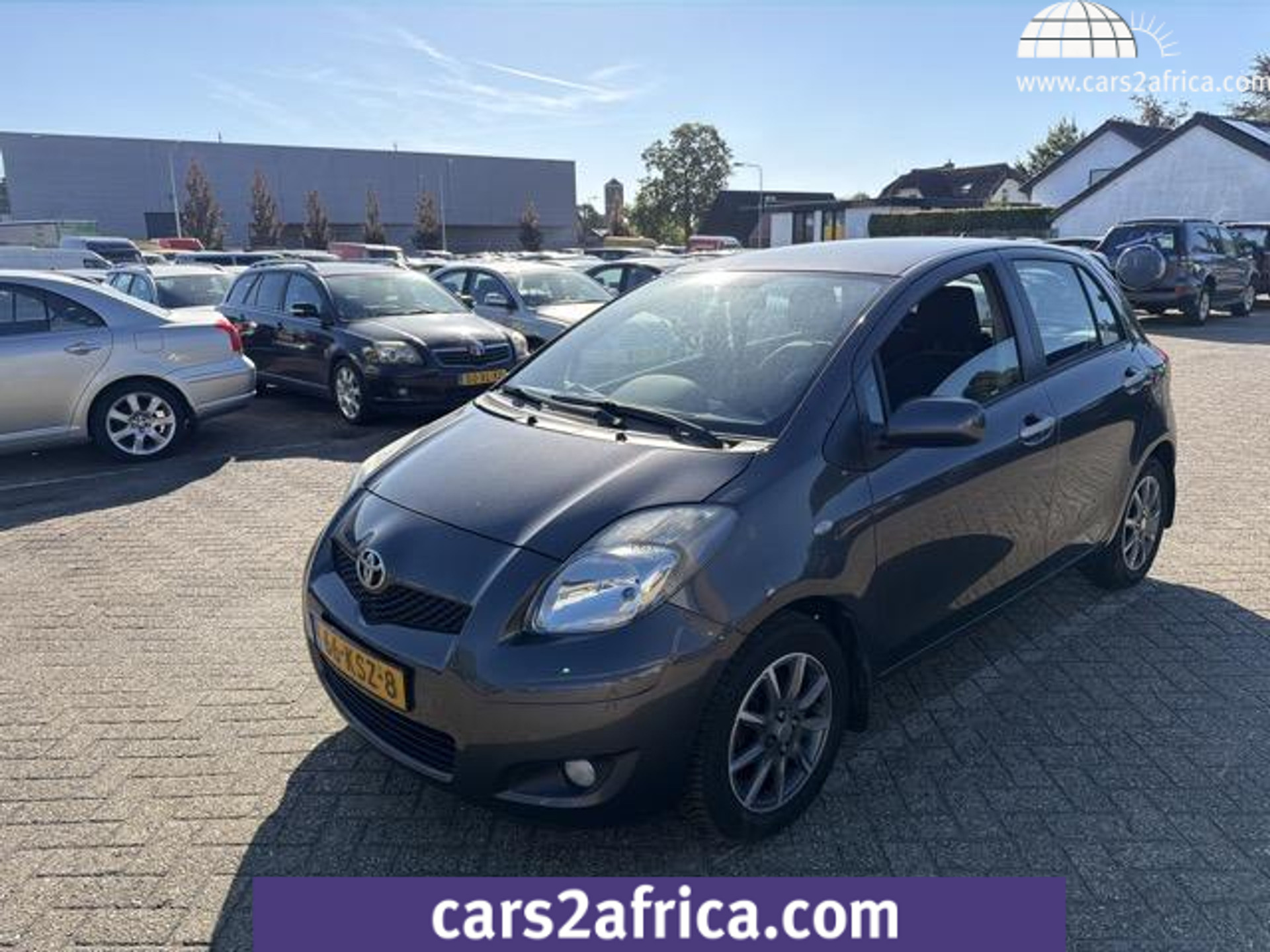 55894703