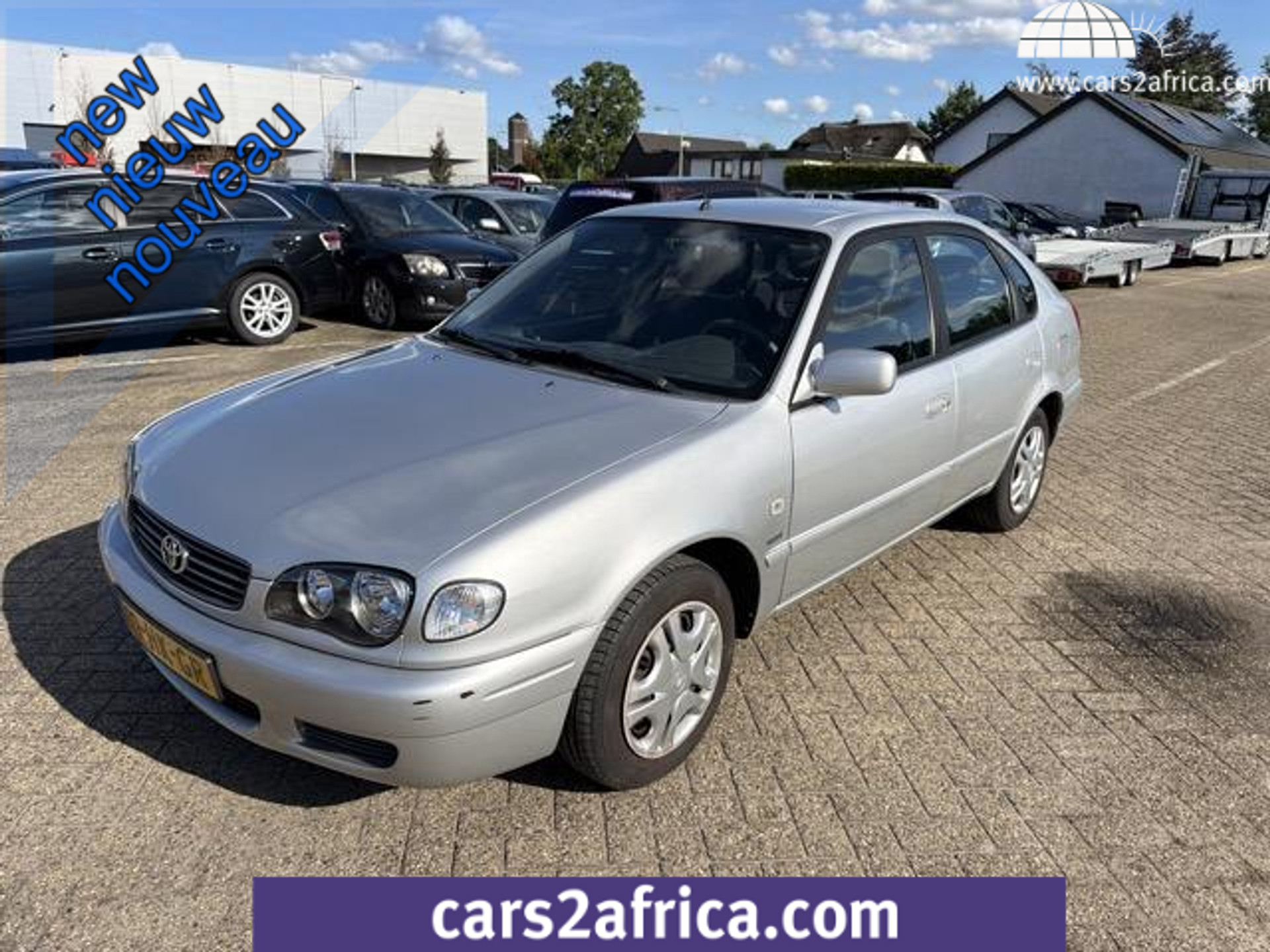 47138646-19.jpg