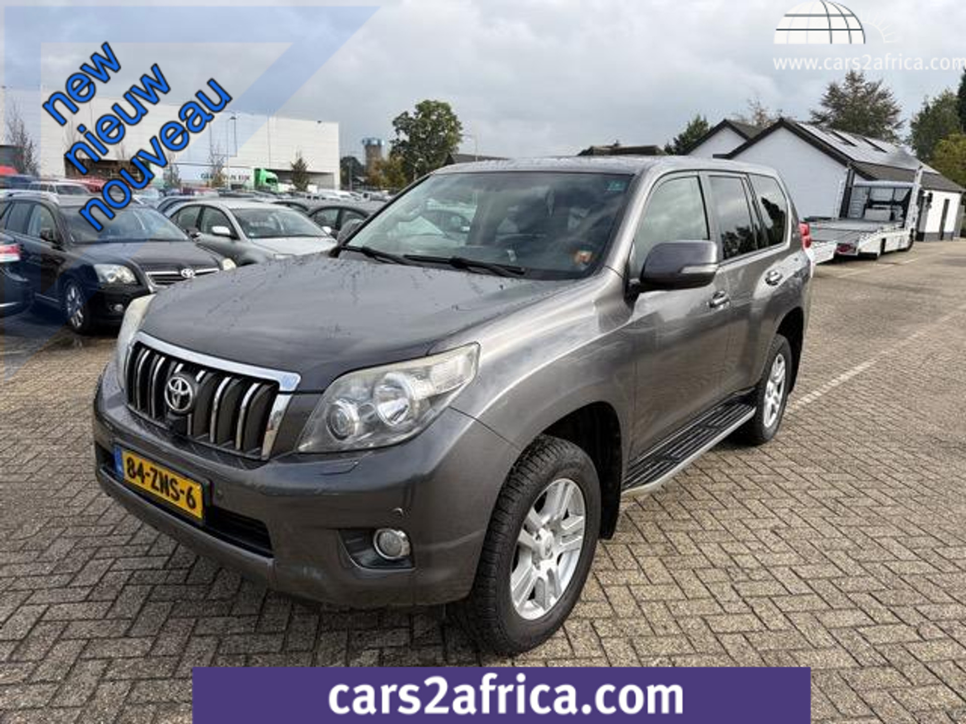 57395288