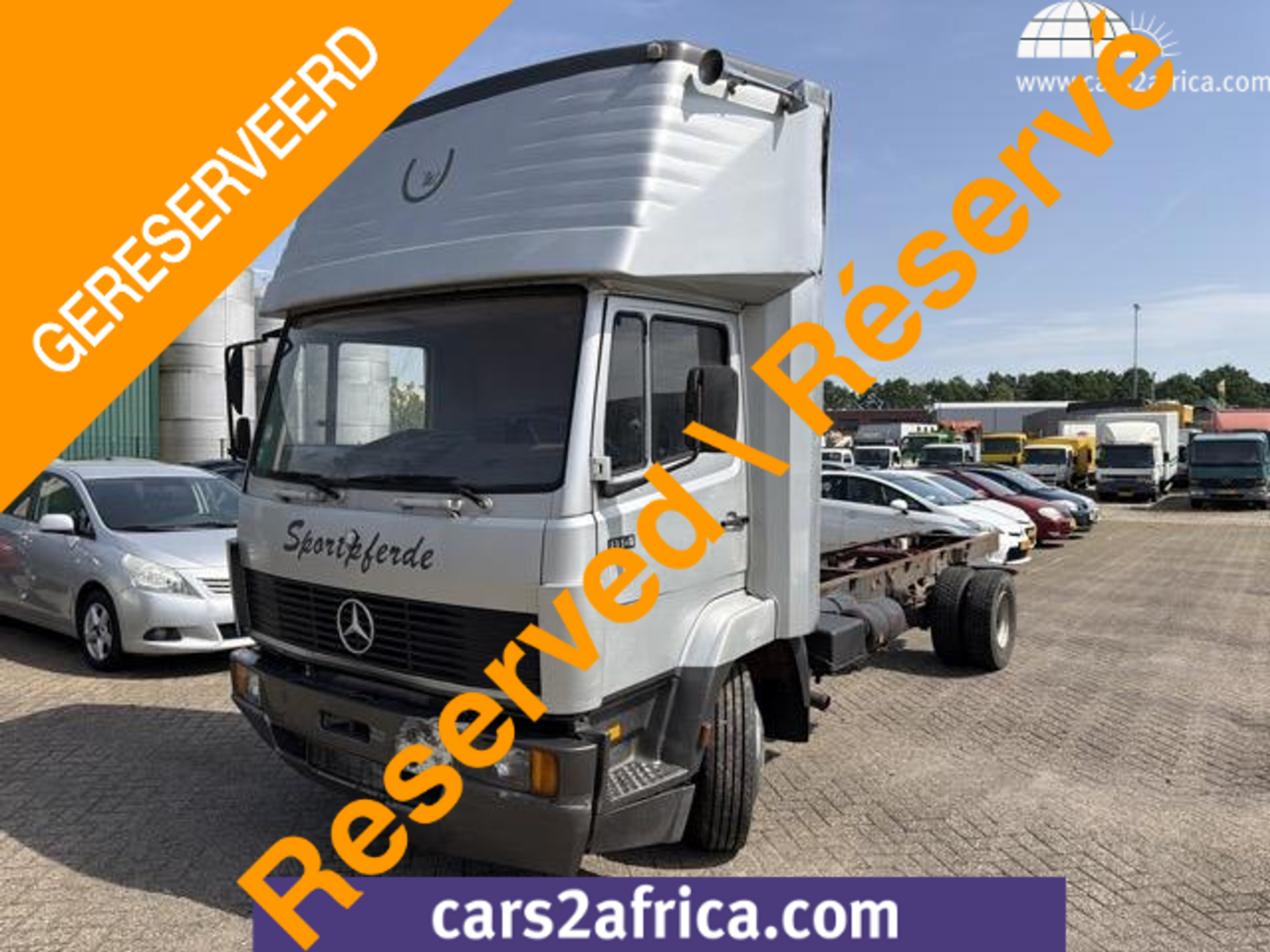 53899604